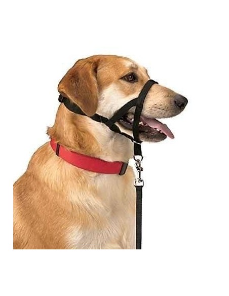 DOG CONTROL N.4 38cm