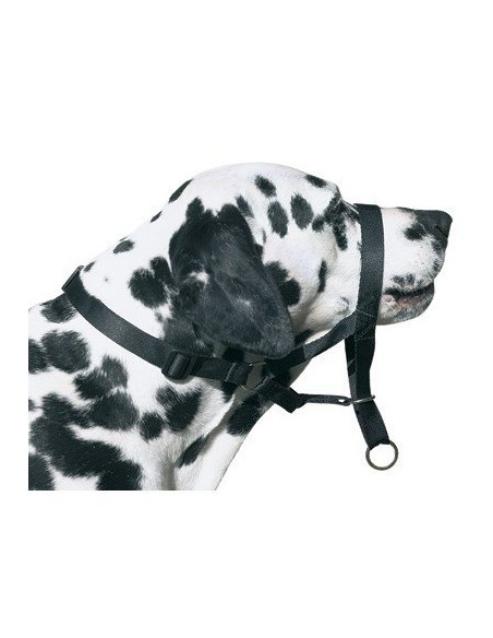 DOG CONTROL N.7 BOXER 54cm