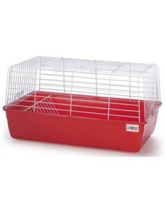 JAULA COBAYA N.1 60 X 36 X 32 CM 2