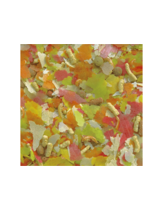 MOLY SUPER-MENU ESTANQUE 600 gr 2