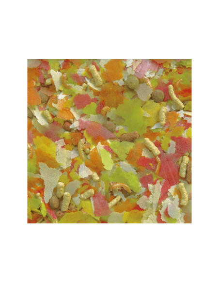 MOLY SUPER-MENU ESTANQUE 600 gr/ 5.5 L - 