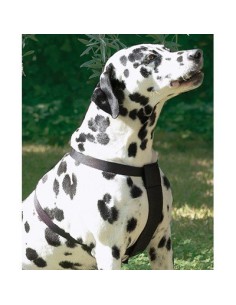 ARNES NYLON DE SEGURIDAD Y PASEO M 2