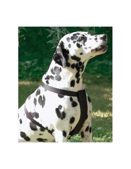 ARNES NYLON DE SEGURIDAD Y PASEO M - 