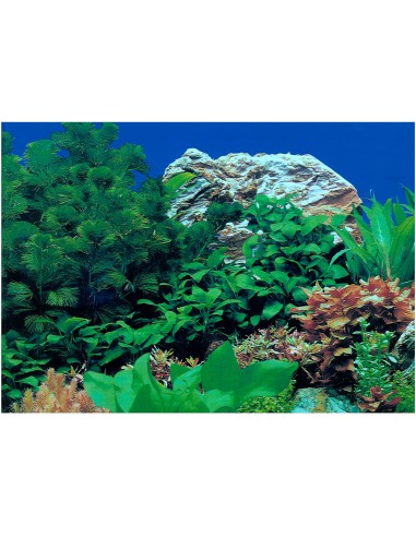 PAPEL DECORATIVO 30cm X 15 m