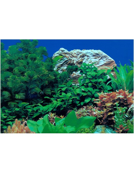 PAPEL DECORATIVO 30cm X 15 m