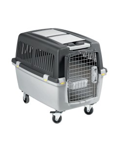 TRANSPORTIN GULLIVER IATA N.4 -  2