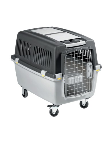 TRANSPORTIN GULLIVER IATA N.4