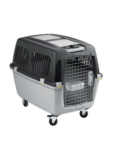 TRASPORTIN GULLIVER IATA N.5