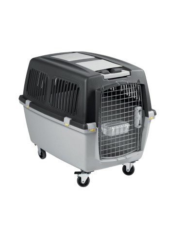 TRASPORTIN GULLIVER IATA N.6