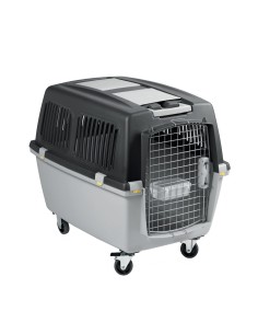 TRASPORTIN GULLIVER IATA N.7