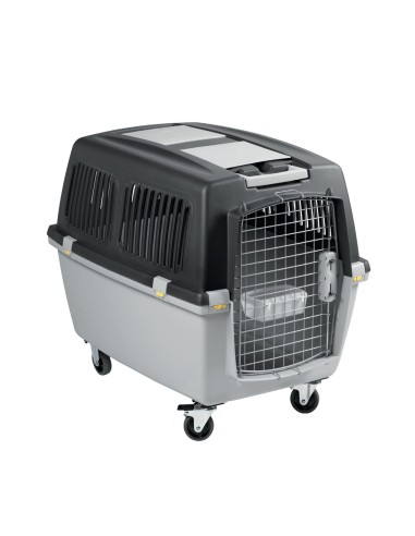 TRASPORTIN GULLIVER IATA N.7