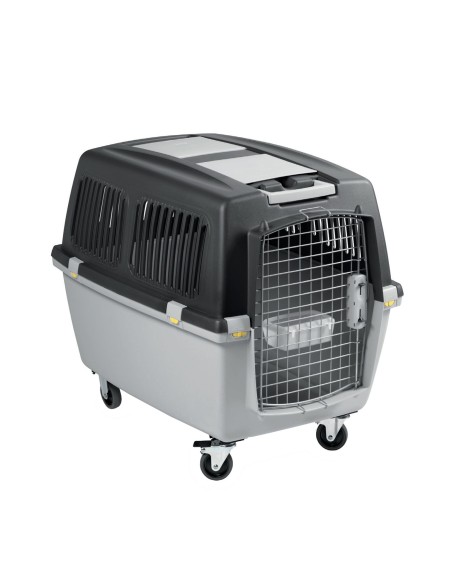 TRASPORTIN GULLIVER IATA N.7