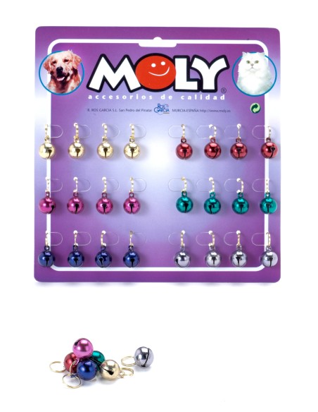 EXPO X 24 CASCABEL COLOR