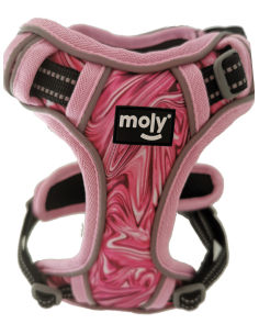 Arnes Acolchado Modelo Oxford Talla S - 2