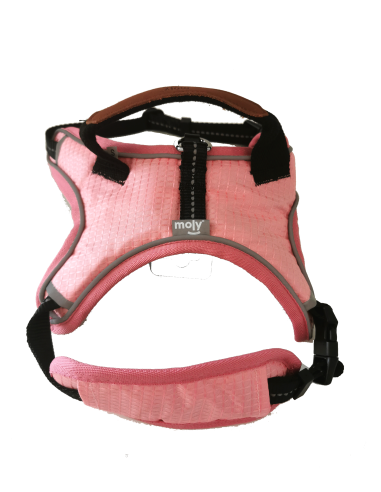 Arnes Pink confort Moly Talla S