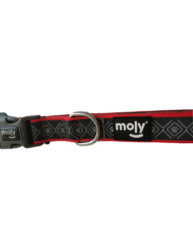 COLLAR MOLY NEOPRENO RAINBOW REFLECT T-S