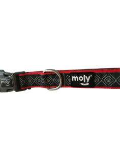 COLLAR MOLY NEOPRENO RAINBOW REFLECT T-L 2