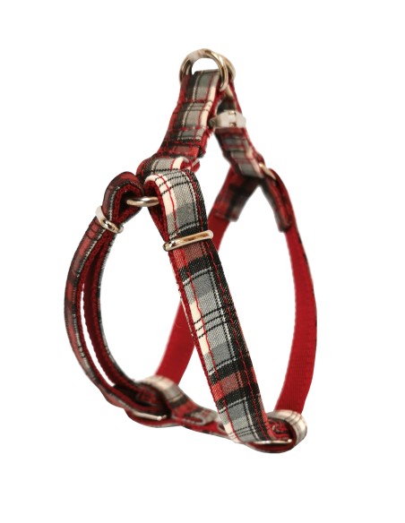 PETRAL ESCOCES T-1 20-30*1,5