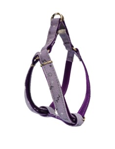 PETRAL MOLY LILA T-5 40-50*2