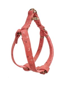 PETRAL MOLY SALMONT T-3 30-40*1,5