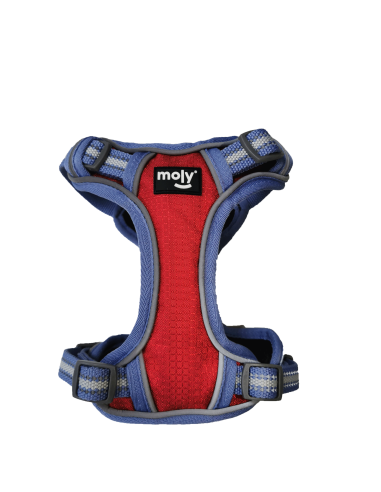 ARNES EXTREME REFLECTIVO CON 4 POSICIONES  M