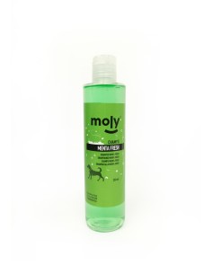 CHAMPU MENTA FRESH 250ml