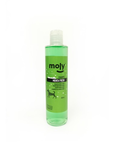 CHAMPU MENTA FRESH 250ml