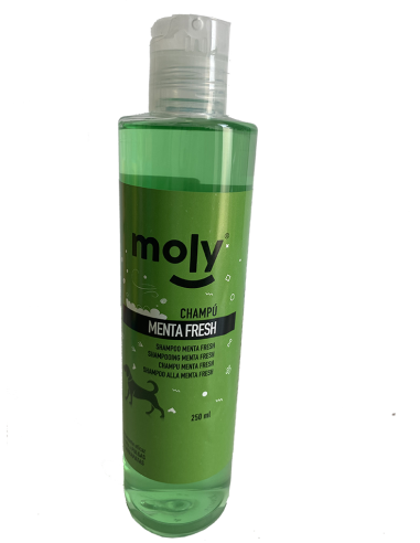 CHAMPU MENTA FRESH 250ml - 