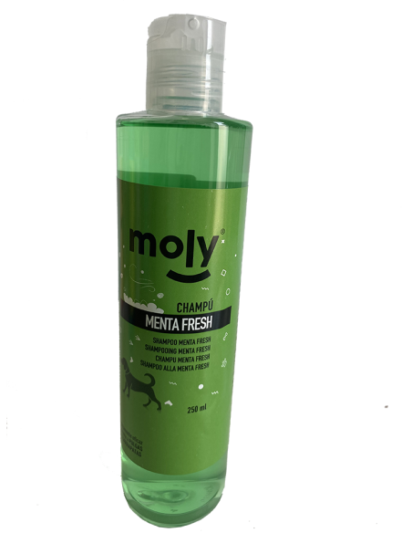 CHAMPU MENTA FRESH 250ml - 