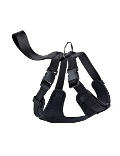 ARNES NYLON SEGURIDAD PASEO G 2