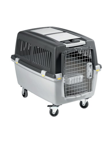 TRANSPORTIN GULLIVER IATA N.4 - 