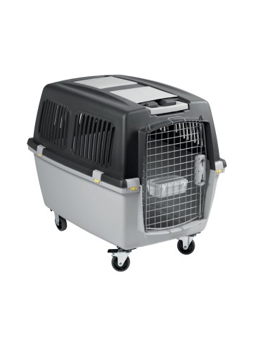 TRANSPORTIN GULLIVER IATA N.6 - 