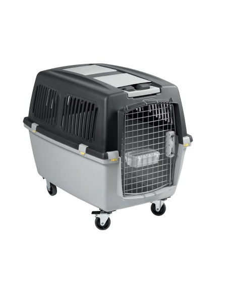 TRANSPORTIN GULLIVER IATA N.6 - 