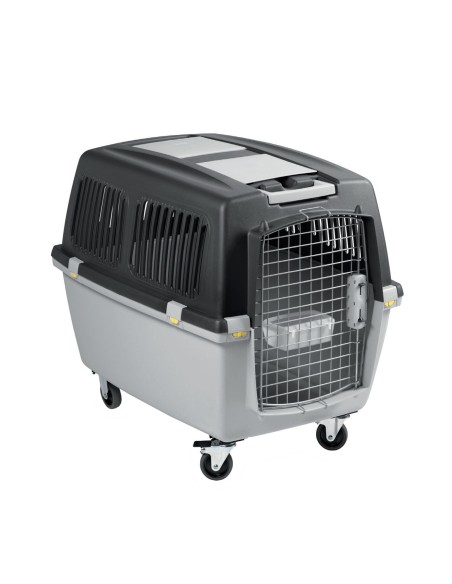 TRANSPORTIN GULLIVER IATA N.7 - 