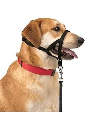 DOG CONTROL N.5 42 CM - 