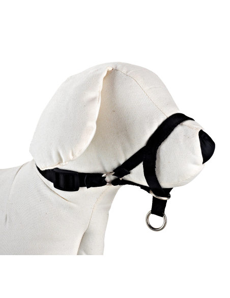 DOG CONTROL N.6 44 CM - 