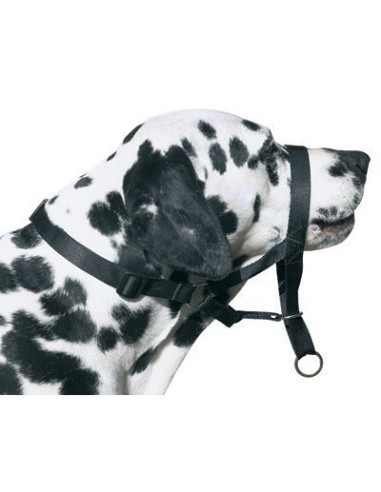 DOG CONTROL N.7 BOXER 54 CM - 