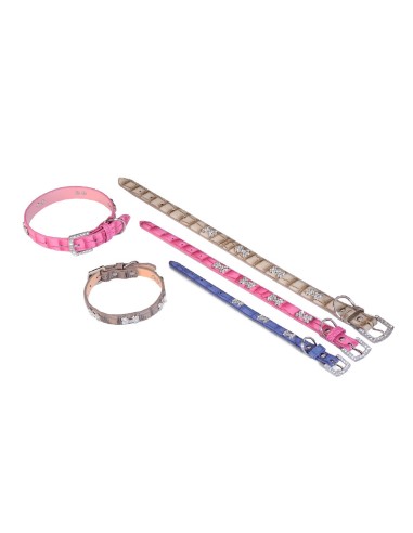 COLLAR CUERO C/HUESO 2.5X50 cm - 