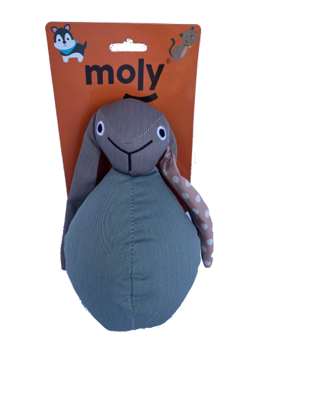 JUGUETE TEDDY VARIAS TEXTURAS INTERACTIVO - 