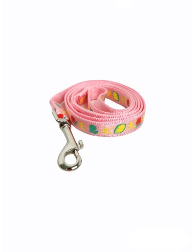 RAMAL NYLON FLOWER 120 X 1,5cm - 