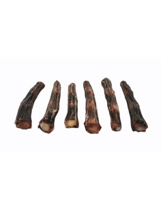 RABO DE BUEY 12 CM - 