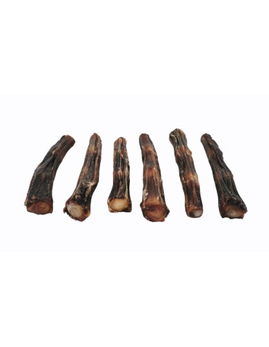 RABO DE BUEY 12 CM - 