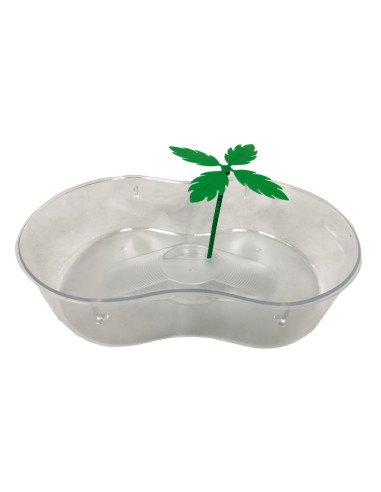 TORTUGUERA PLASTICO C/PALMERA