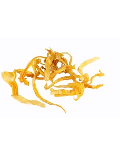 GRANEL ORERA LONCHA 1 KG