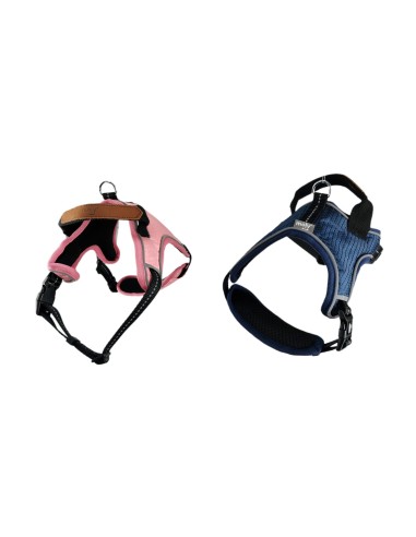 ARNES BLUE/PINK CONFORT MOLY TALLA S -