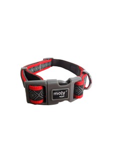 COLLAR MOLY NEOPRENO RAINBOW REFLECT T-L