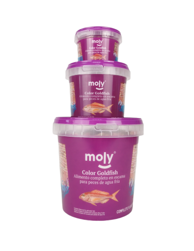 MOLY GOLDFISH COLOR 200 gr - 