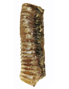 TRAQUEA DE TERNERA PARA PERROS 2 UNIDADES 15-17 CM - 