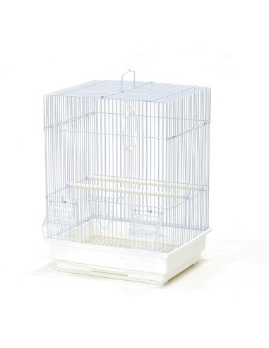 Jaula Cuadrada Desmontable para Pájaros Moly 35x28x46 cm – Con Comederos, Bandeja Extraíble y Colores Variados - 