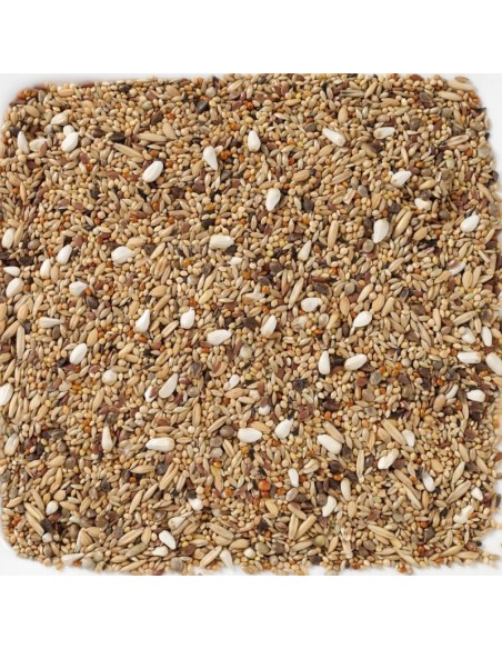 GRANDES PERIQUITOS SIN GIRASOLES 20 KG-CACATUAS - 